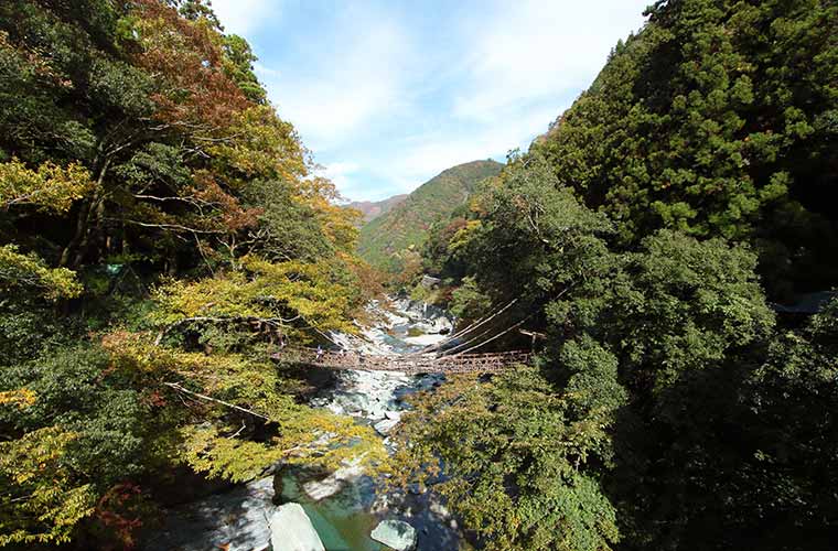 祖谷のかずら橋の全景