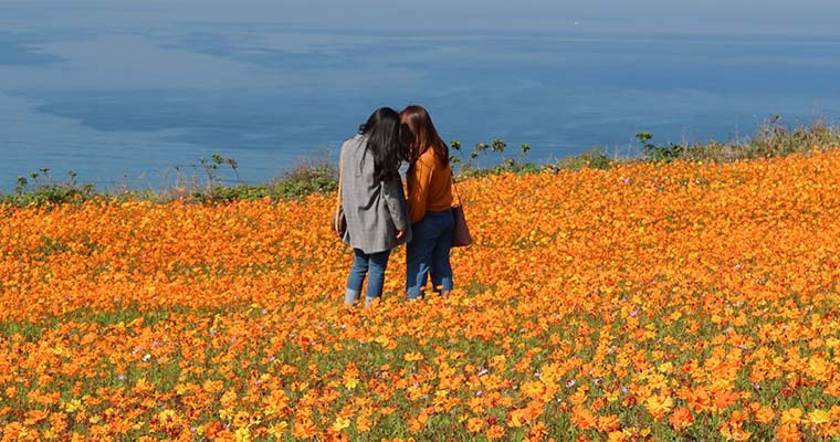 花