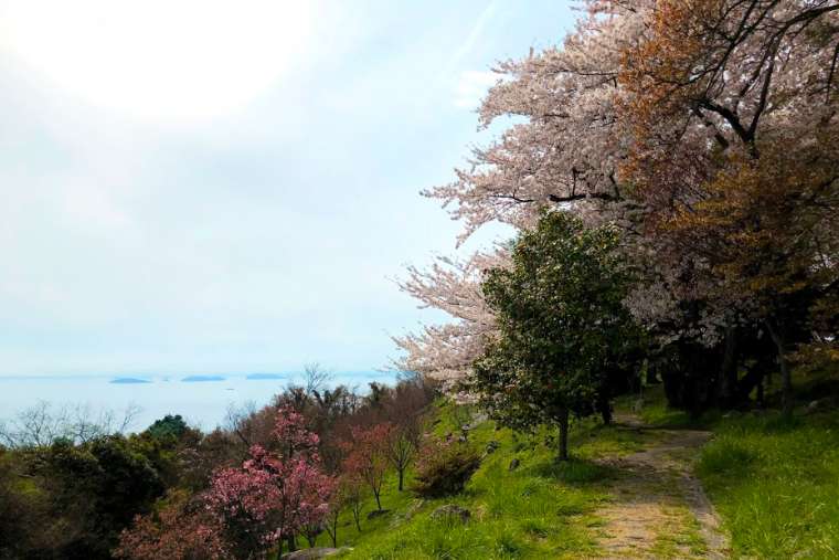 紫雲出山(しうでやま)