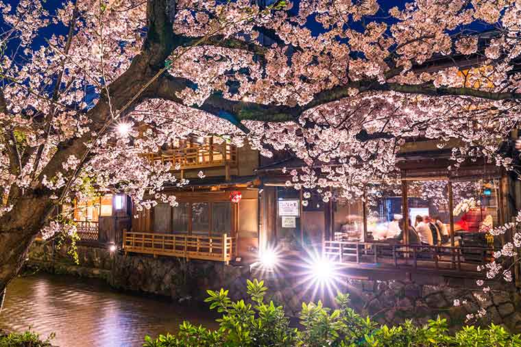 神社からカフェまで 京都のインスタ映えするおしゃれスポット 楽天トラベル