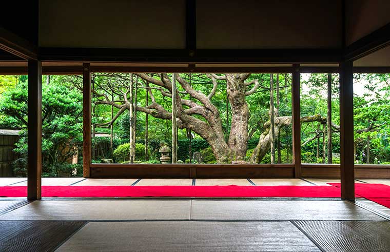 宝泉院