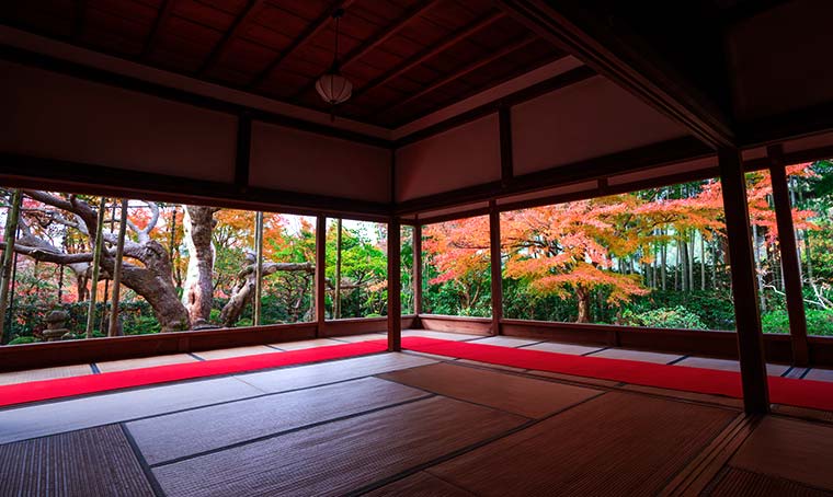 宝泉院