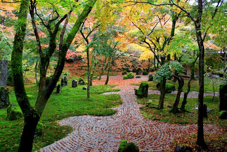 光明禅寺