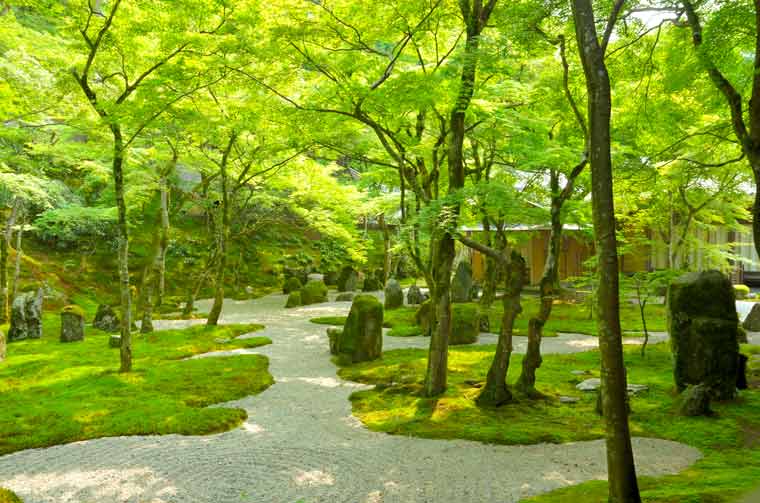 光明禅寺