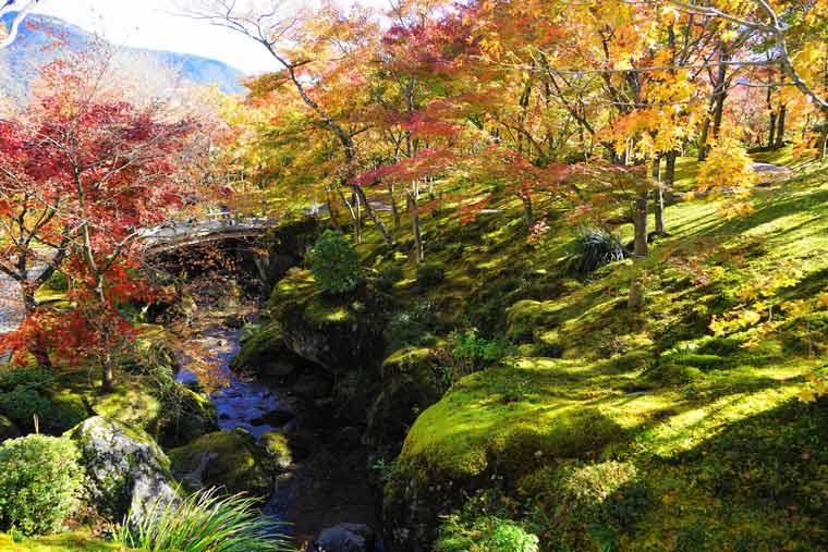 箱根美術館