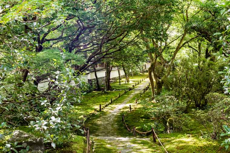 西芳寺