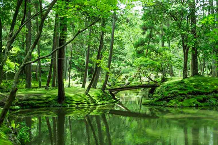 西芳寺