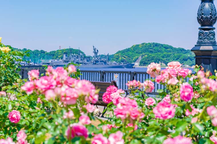 横須賀市ヴェルニー公園