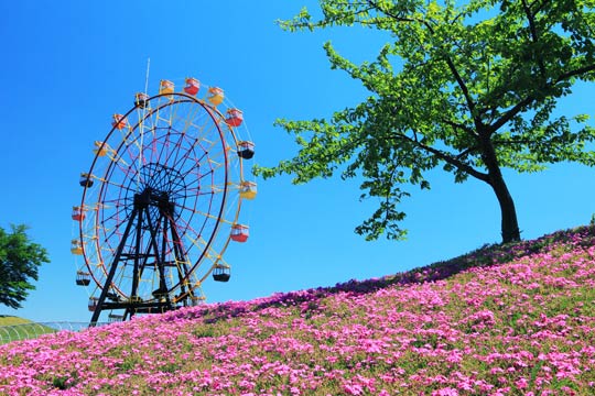 東京ドイツ村