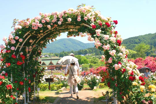茨城県フラワーパーク