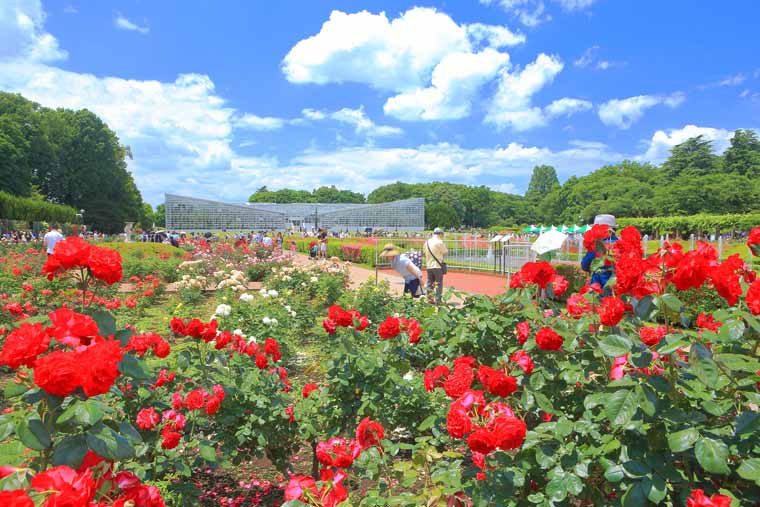 神代植物公園