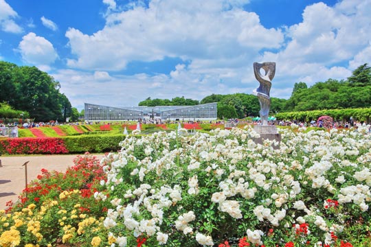 神代植物公園