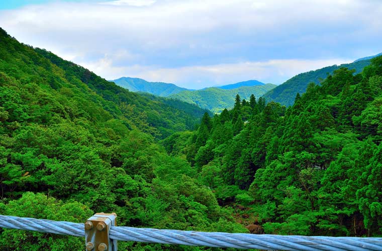 新童子橋