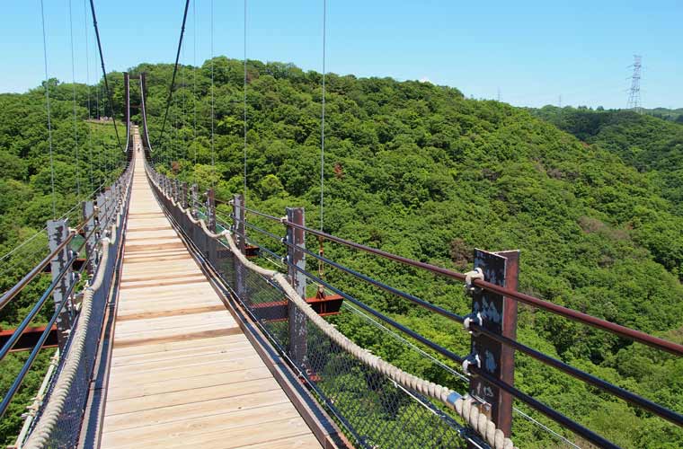 スリリングな絶景 歩いて渡れるおすすめ吊り橋15選 楽天トラベル