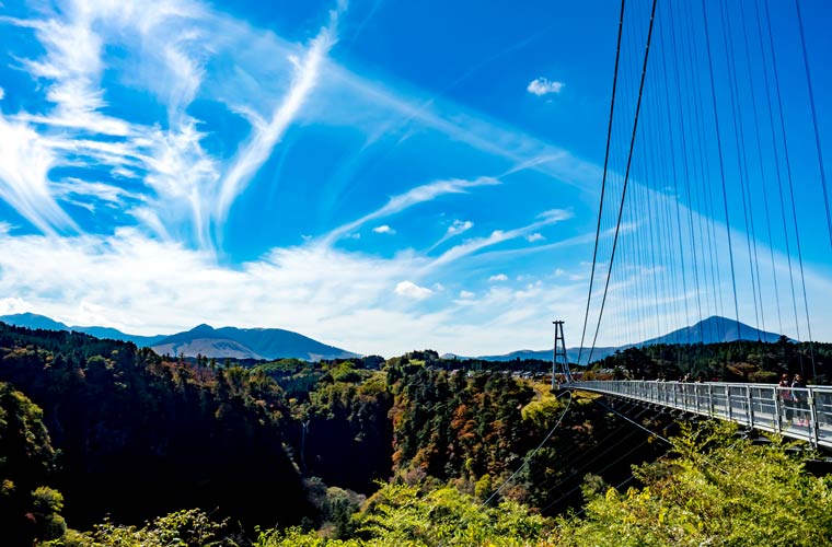九重夢大吊橋