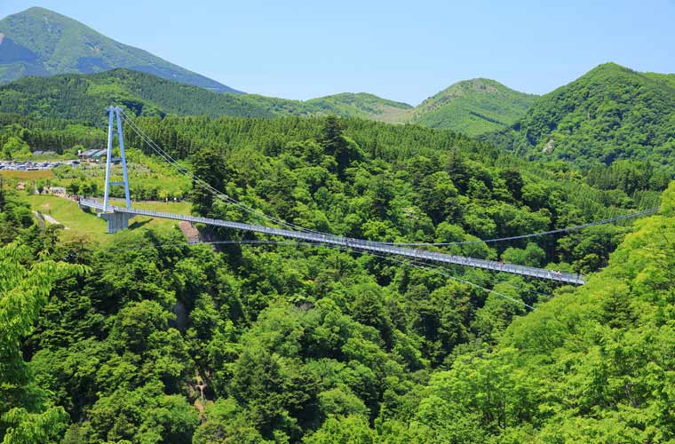 九重夢大吊橋