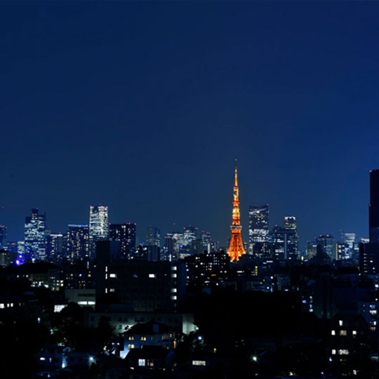 ザ・プリンス さくらタワー東京 眺望例