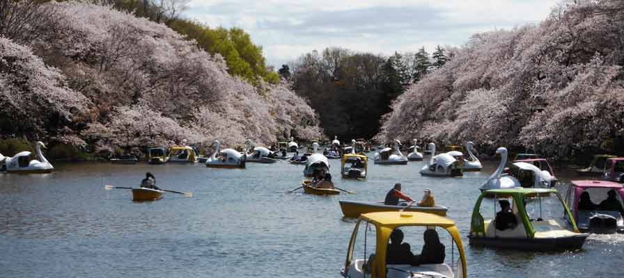 ウソ 本当 日本各地に伝わる 都市伝説 まとめ 楽天トラベル