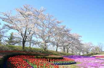 みちのく公園(国営みちのく杜の湖畔公園)