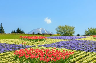 鳥取県立フラワーパークとっとり花回廊