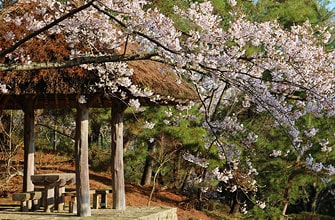 公渕森林公園(きんぶちしんりんこうえん)