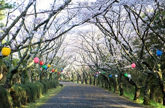 公渕森林公園(きんぶちしんりんこうえん)