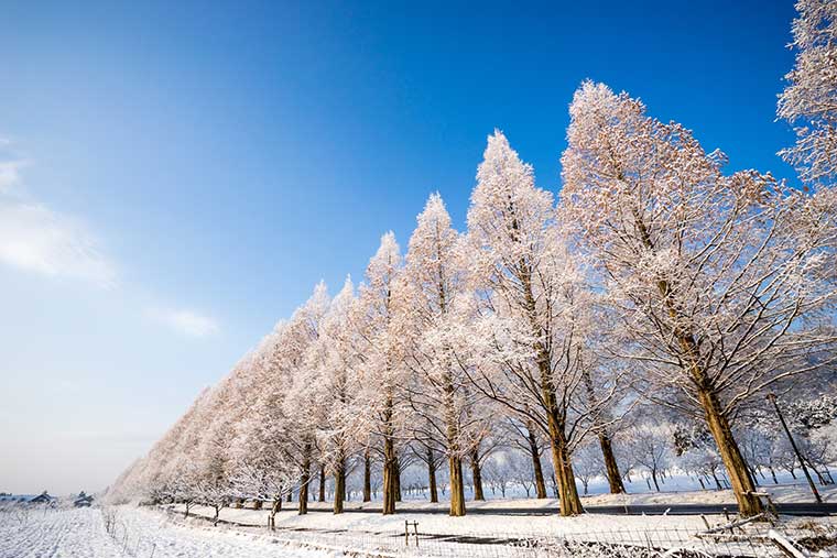 美しい日本の冬に出会える 国内 冬の絶景 15選 楽天トラベル