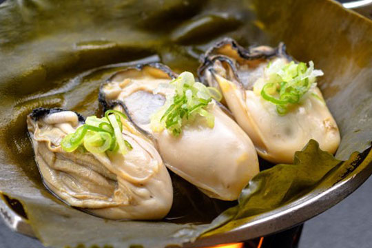 黒部川明日温泉元湯 バーデン明日(あけび)
