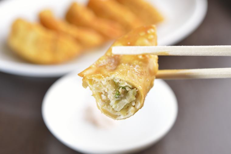 宇都宮餃子 揚餃子