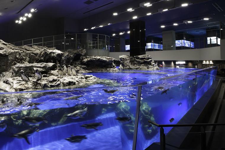東京スカイツリー すみだ水族館
