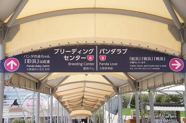 パンダがいるのはブリーディングセンターとパンダラブの2ヶ所