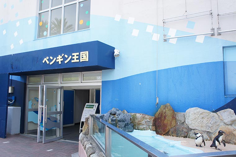 ペンギン王国