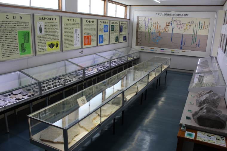 秋吉台科学博物館