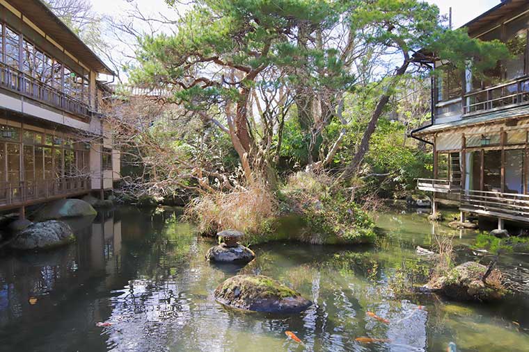 新井旅館 池