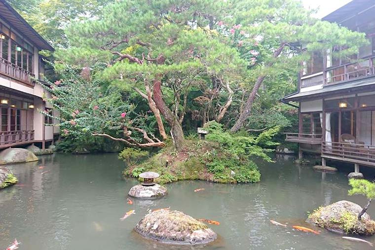 新井旅館 池