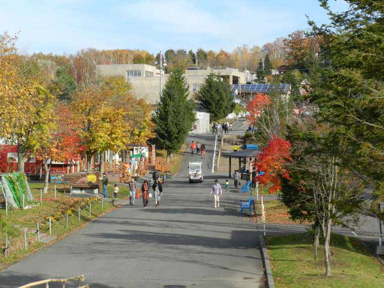 北海道 旭山動物園 園内