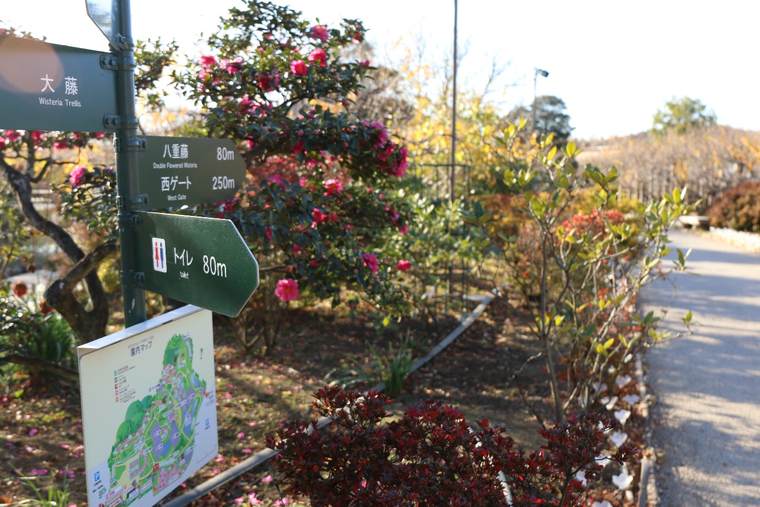 あしかがフラワーパーク 園内標識