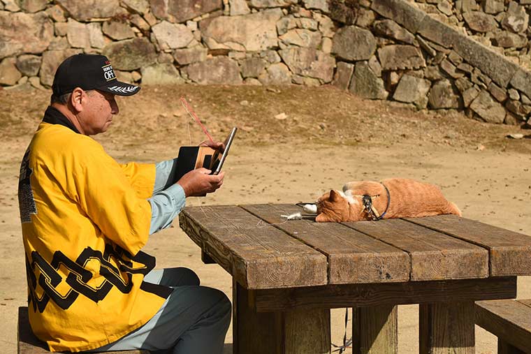 猫城主さんじゅーろー
