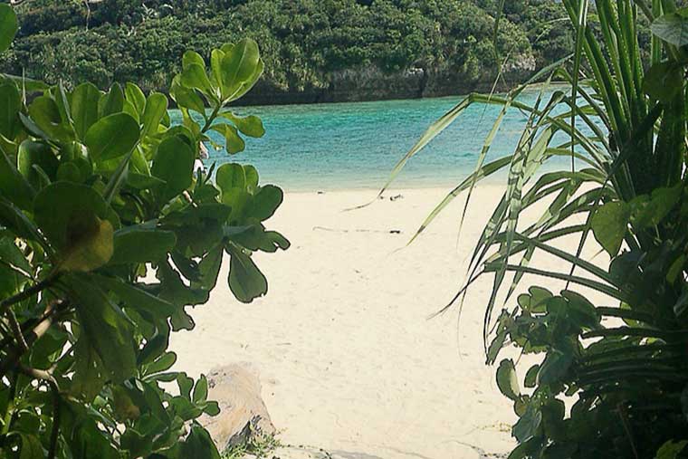 シリーズ「がん患者さんが見つけた旅の喜び」 石垣島