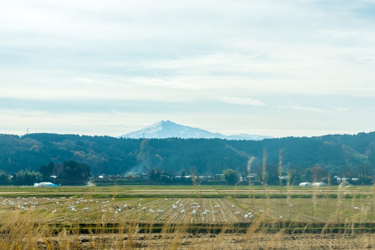 秋田県由利本荘市「鳥海山 木のおもちゃ美術館」