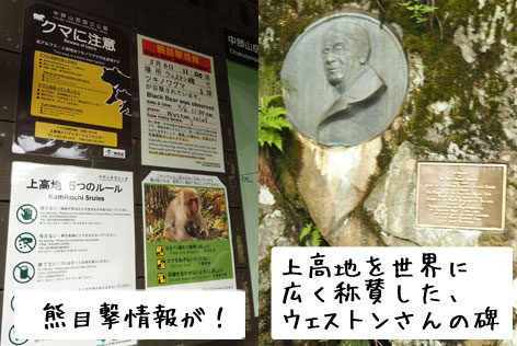大正池ルート