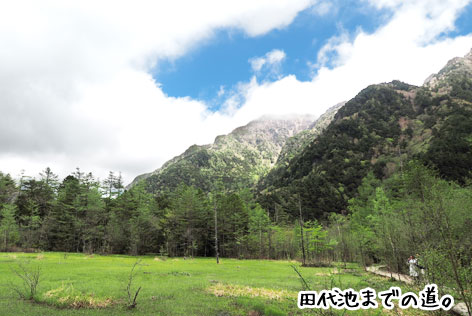 大正池コース