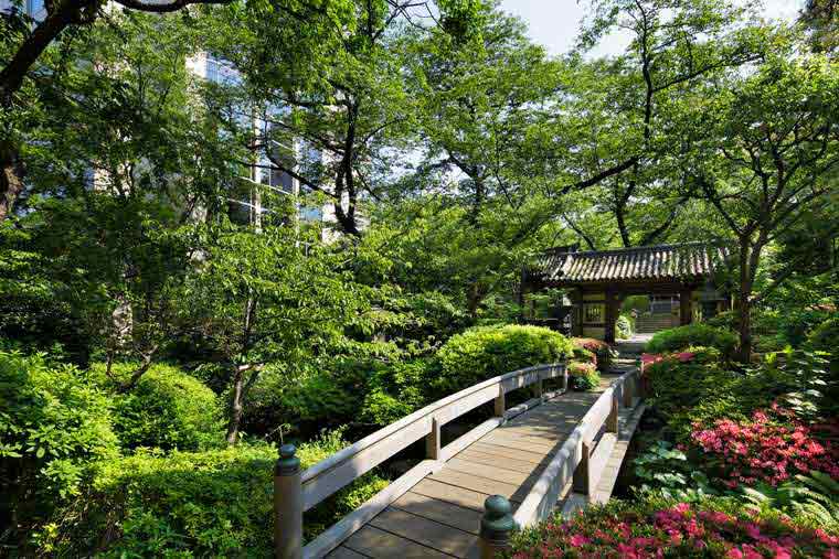 グランドプリンスホテル新高輪 クラブフロア 日本庭園
