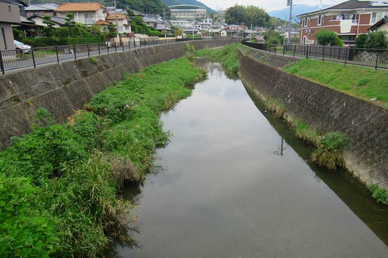 御笠川(みかさがわ)に平行する歴史の散歩道