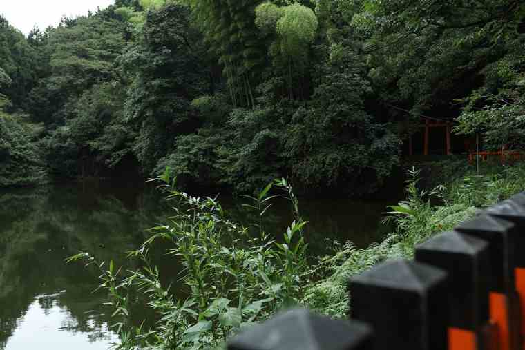 稲荷山の新池(谺ケ池)