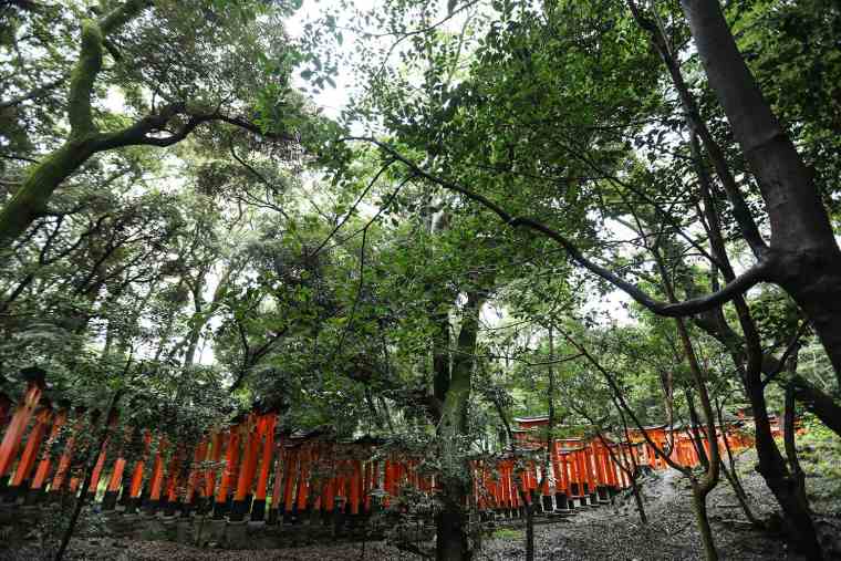 稲荷山を参拝