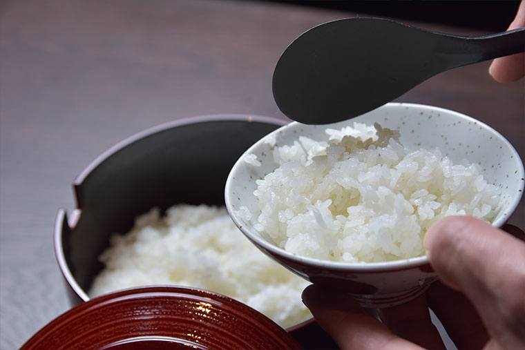 下呂温泉 小川屋 飛騨コシヒカリ