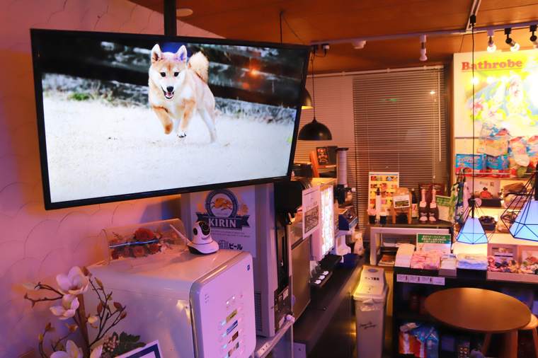箱根グアムドック本店 ドッグコンシェルジュサービス