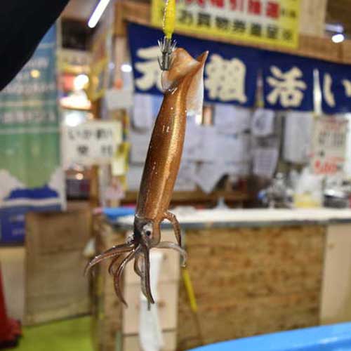 函館朝市 駅二市場のイカ釣り