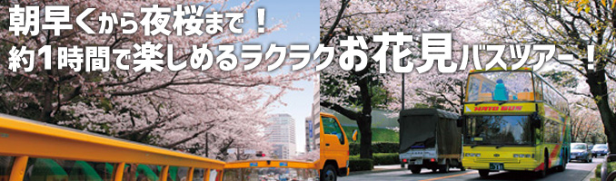さくら回廊コース